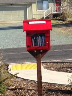 Little Library Lake camanche