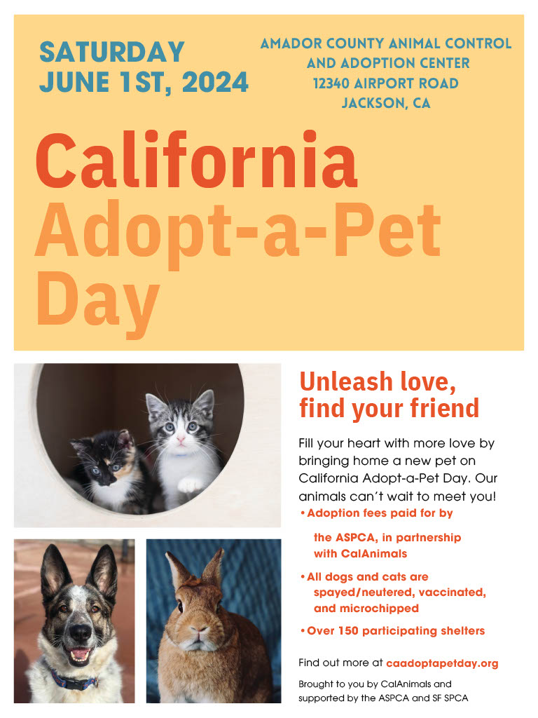 Adopt-a-Pet Day